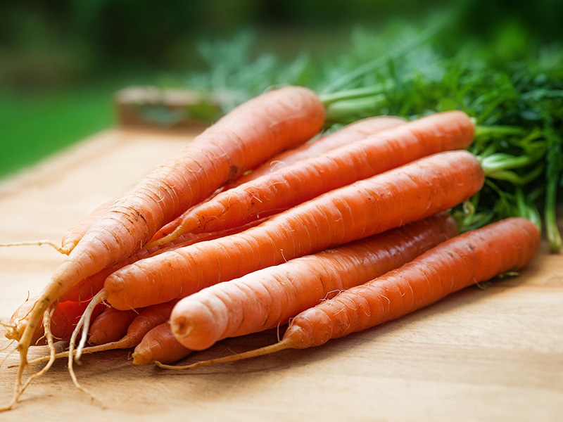 Carrot